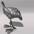 volatile raku