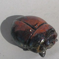 scarab�e Raku