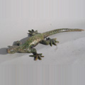 scarab�e Raku